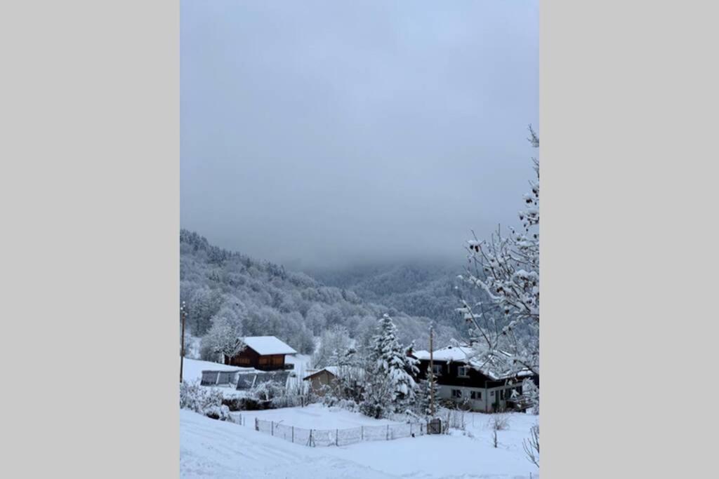Appartement Lumineux Coeur De Station Thollon-les-Memises Luaran gambar